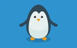 اشتراک گذاری فایل ها بین ویندوز و لینوکس